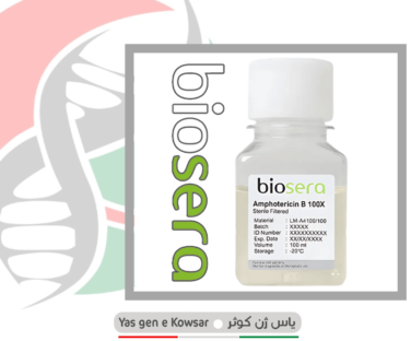 Amphotericin B در شرکت یاس ژن