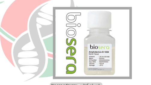Amphotericin B در شرکت یاس ژن