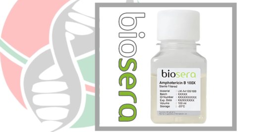 Amphotericin B در شرکت یاس ژن