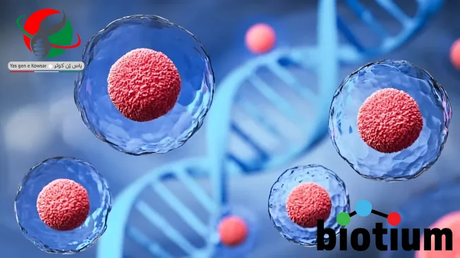 واردات محصولات شرکت یاس ژن نمایندگی کمپانی Biotium
