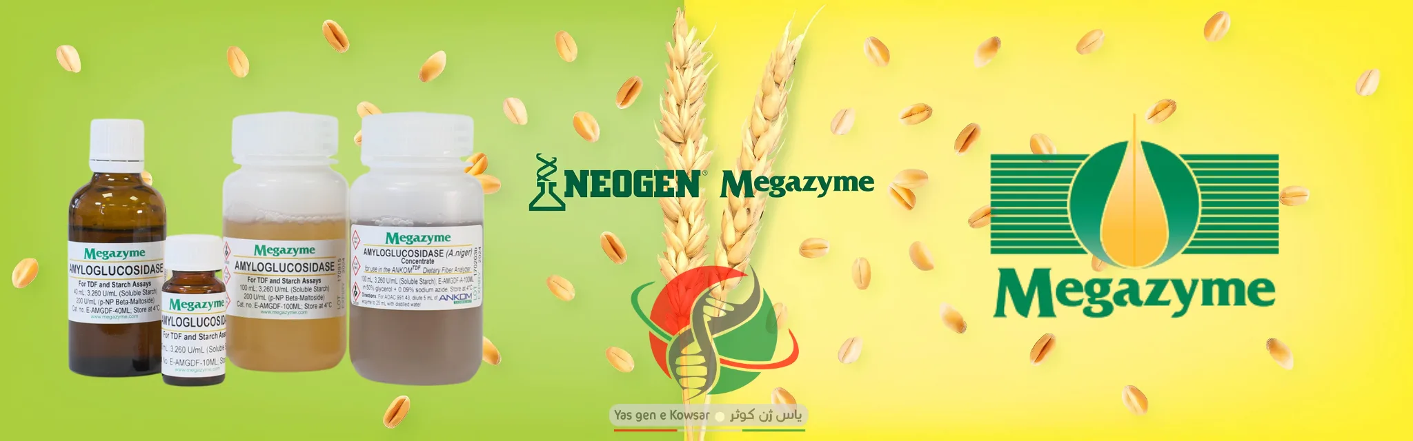 شرکت یاس ژن نمایندگی رسمی کمپانی Megazyme در ایران