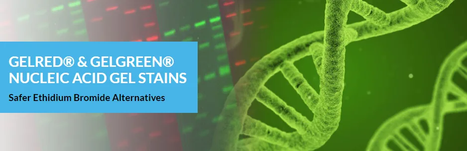 واردات محصولات شرکت یاس ژن نمایندگی کمپانی Biotium