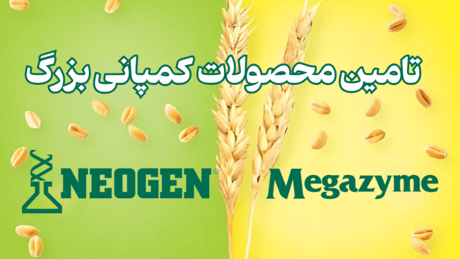 واردات محصولات کمپانی megazyme