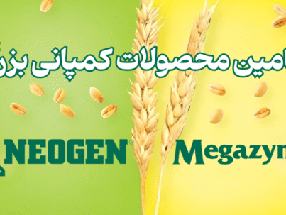 واردات محصولات کمپانی megazyme