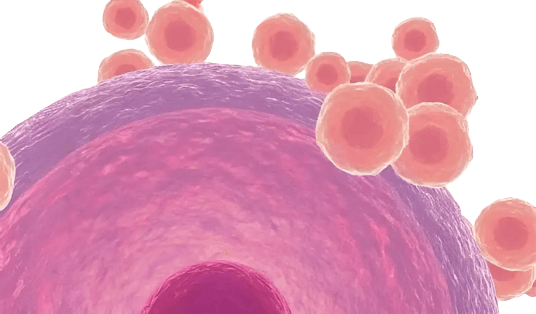 شرکت یاس ژن کوثر نمایندگی رسمی کمپانی cellbiolabs