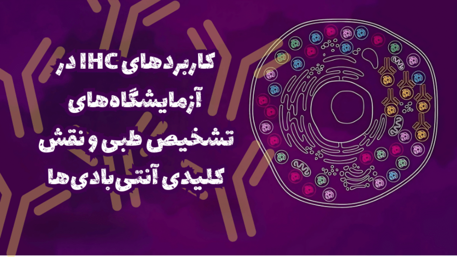 IHC و آنتی بادی؛ ابزار طلایی پاتولوژی