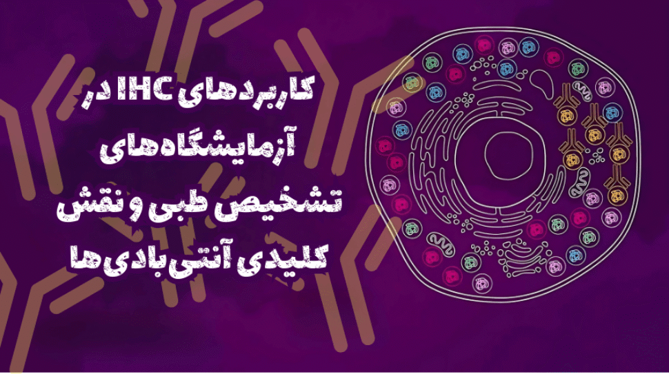 IHC و آنتی بادی؛ ابزار طلایی پاتولوژی