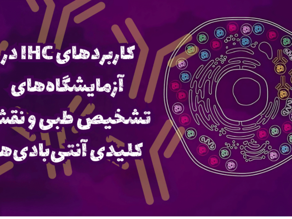 IHC و آنتی بادی؛ ابزار طلایی پاتولوژی