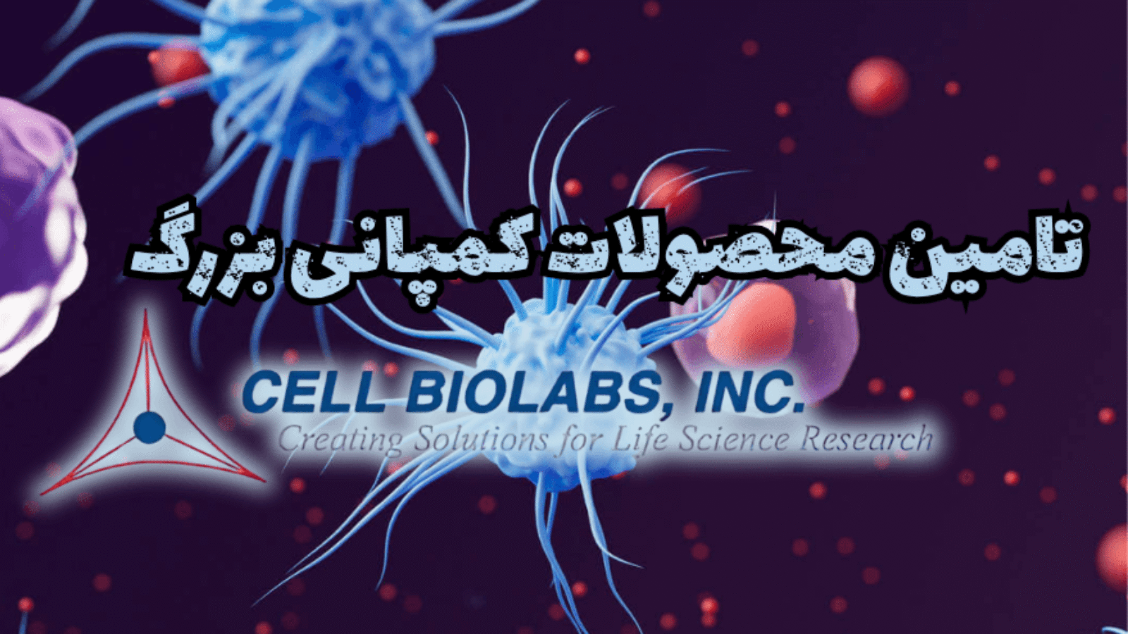 شرکت یاس ژن کوثر نمایندگی رسمی کمپانی cellbiolabs