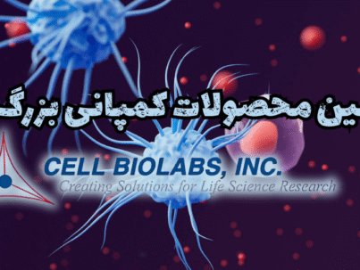 شرکت یاس ژن کوثر نمایندگی رسمی کمپانی cellbiolabs