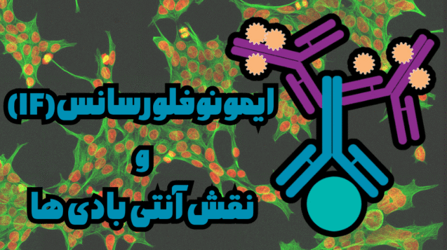 تامین انتی بادی های IF در ایران شرکت یاس ژن