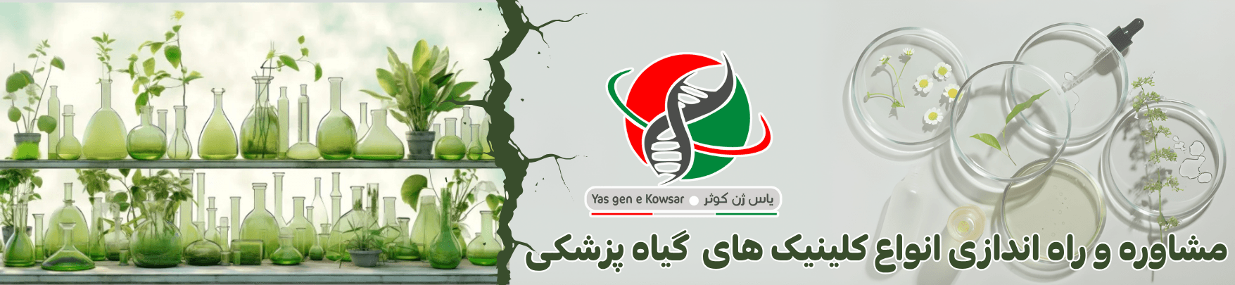 تجهیز کلینیک گیاه پزشکی توسط شرکت یاس ژن کوثر