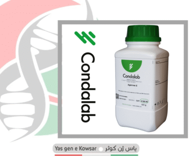 Agarose E شرکت یاس ژن