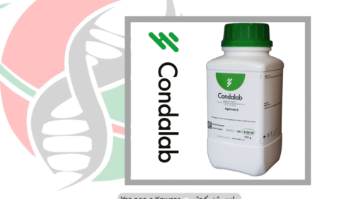 Agarose E شرکت یاس ژن