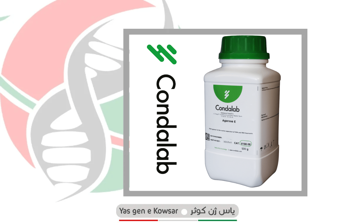 Agarose E شرکت یاس ژن