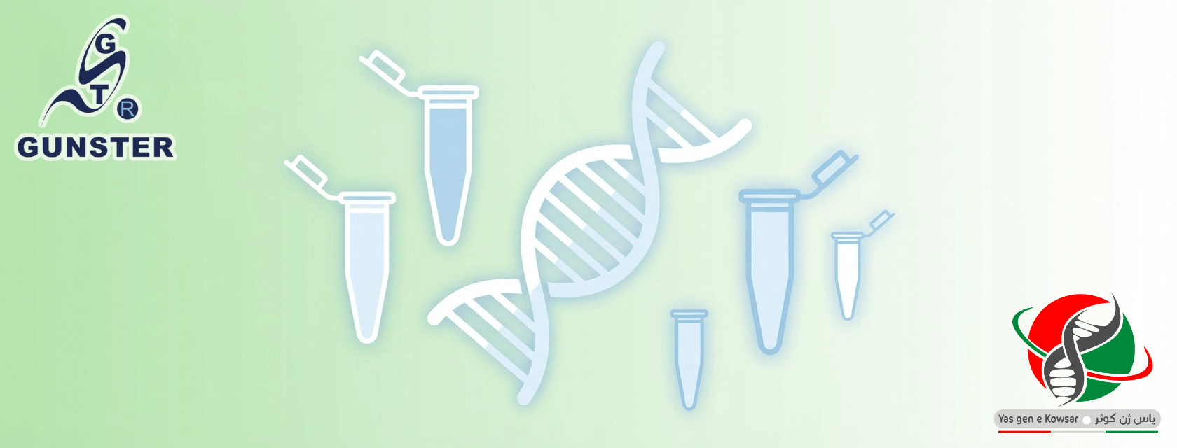 شرکت یاس ژن نمایندگی کمپانی Gunster Biotech