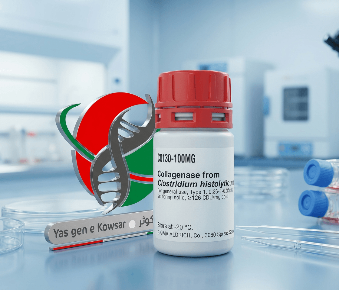 کلاژناز (Collagenase) شرکت یاس ژن
