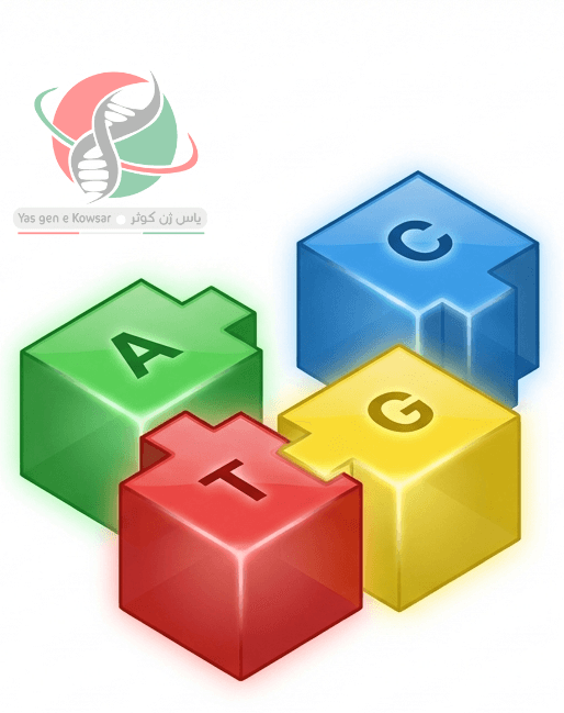 آنزیم‌های PCR و qPCR شرکت یاس ژن با کیفیت عالی