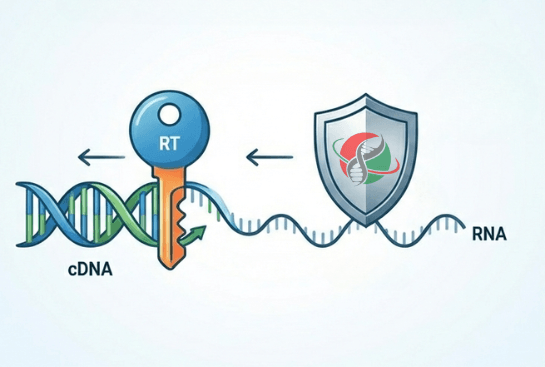 آنزیم‌های PCR و qPCR و کیت cDNA سنتتیز شرکت یاس ژن با کیفیت عالی
