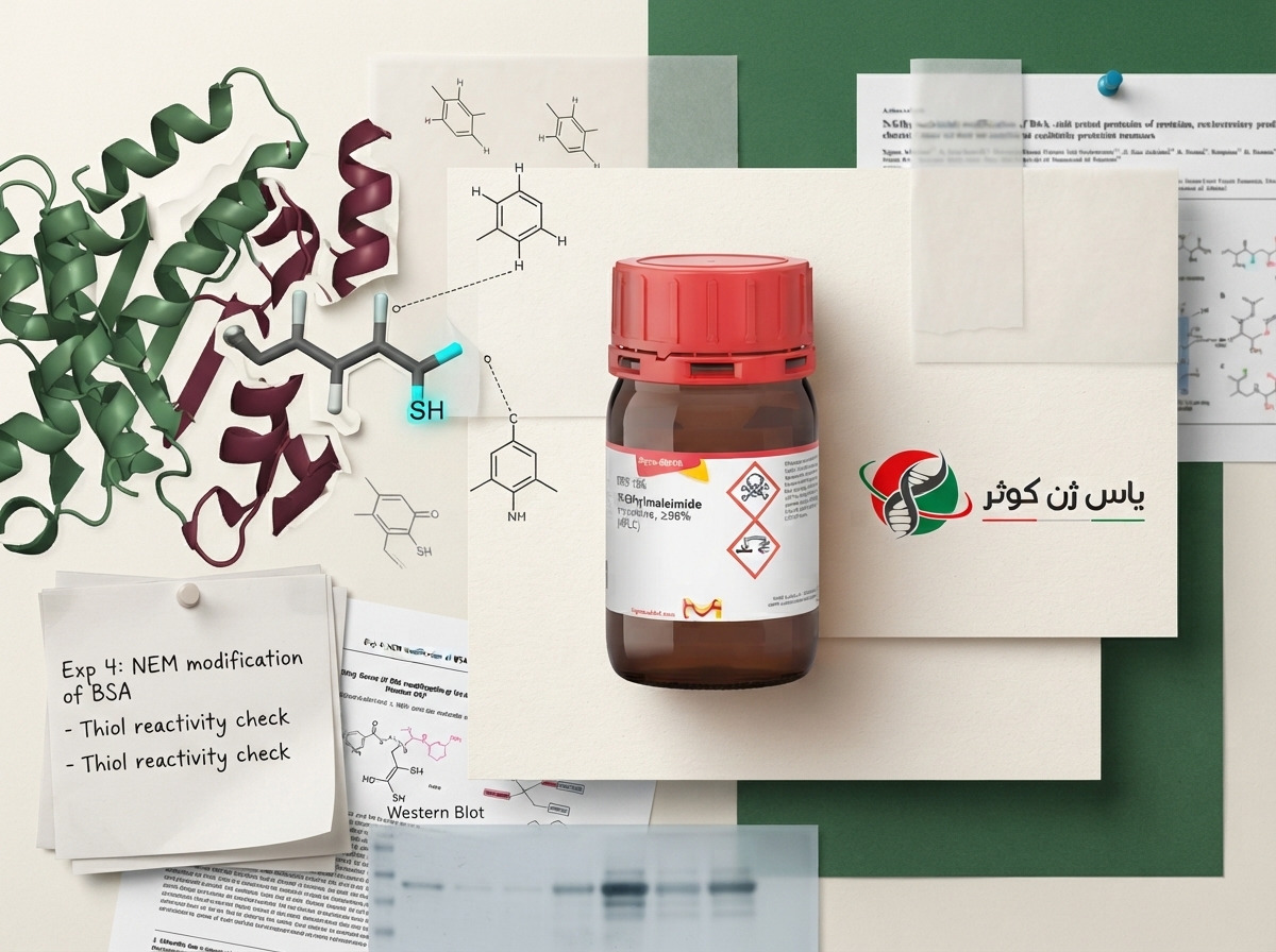 معرف شیمیایی N-Ethylmaleimide (NEM) کمپانی سیگما تامین یاس ژن