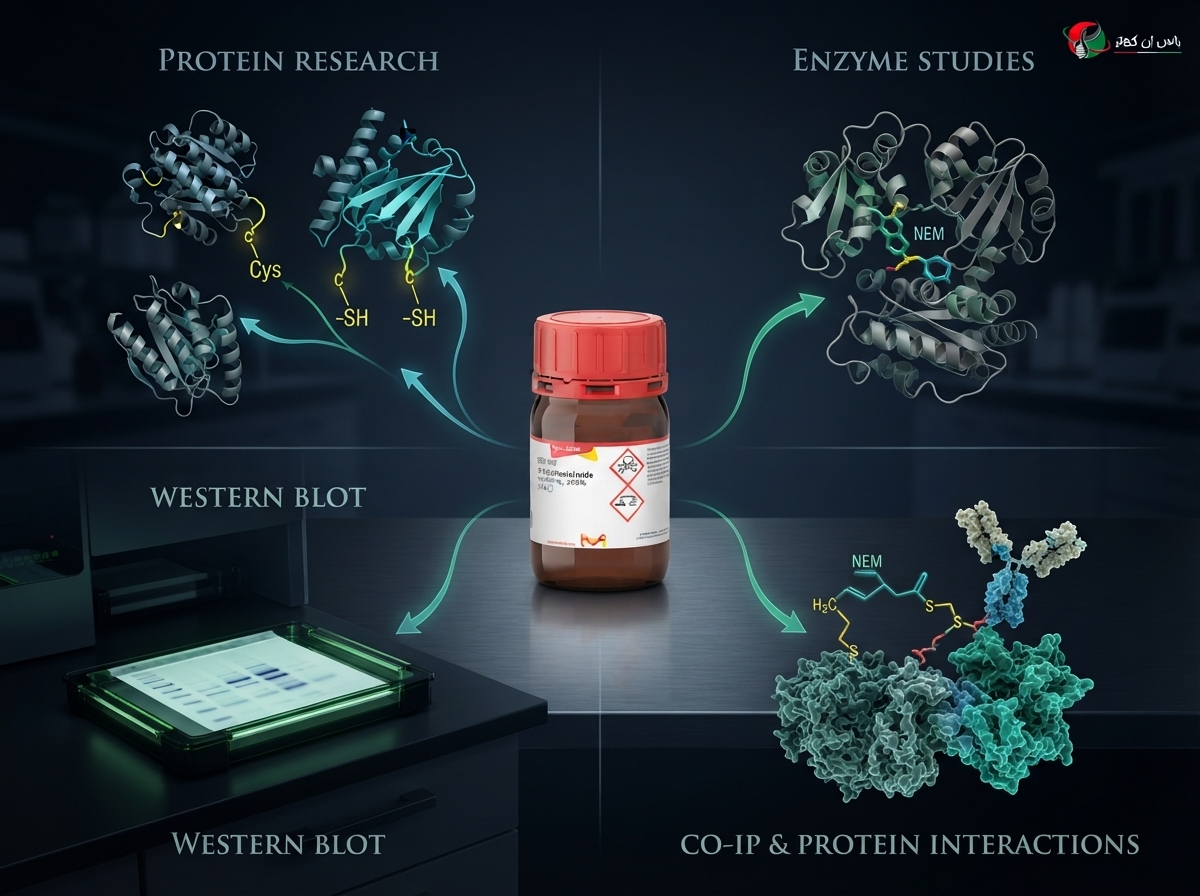 معرف شیمیایی N-Ethylmaleimide (NEM) کمپانی سیگما تامین یاس ژن