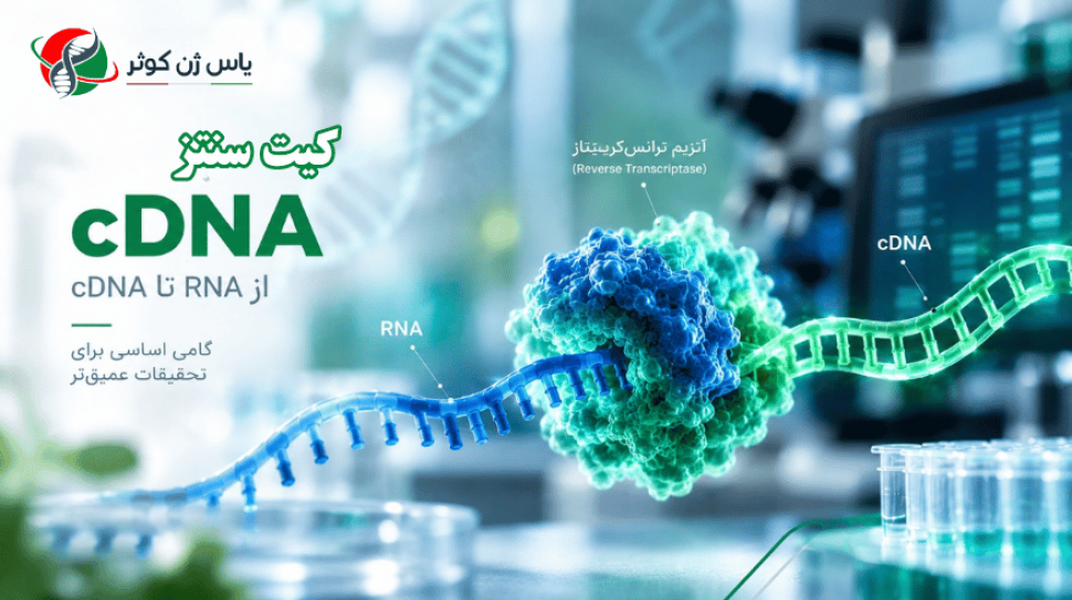 کیت سنتز cDNA شرکت یاس ژن کوثر