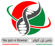 logo yasgen